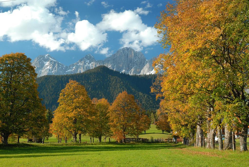 Apartment Oesterreich Рамзау Номер фото